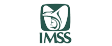 Dependencia imss